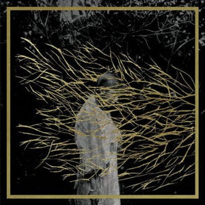 Golden Discs CD Engravings - Forest Swords [CD]