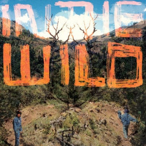 Golden Discs CD In the Wild - FaltyDL [CD]