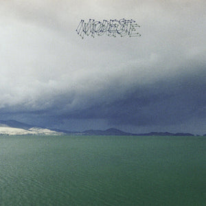 The Fruit That Ate Itself - Modest Mouse [CD]