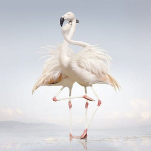 Golden Discs CD Green Language - Rustie [CD]