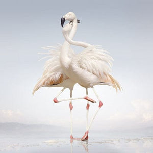 Golden Discs VINYL Green Language - Rustie [VINYL]