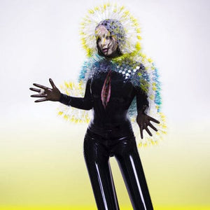 Golden Discs CD Vulnicura - Björk [CD]
