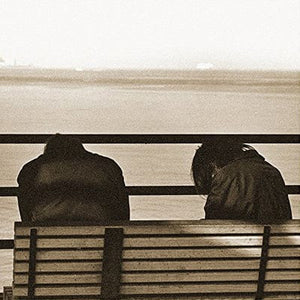 Golden Discs VINYL II - METZ [VINYL]