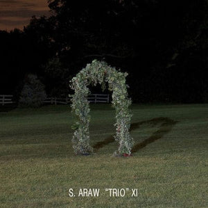 Golden Discs VINYL Gazebo Effect - Sun Araw 'Trio' XI [VINYL]