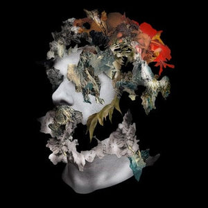 Golden Discs VINYL I AKA I - Ash Koosha [VINYL]