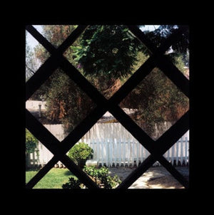 Golden Discs VINYL III - Psychic Temple [VINYL]