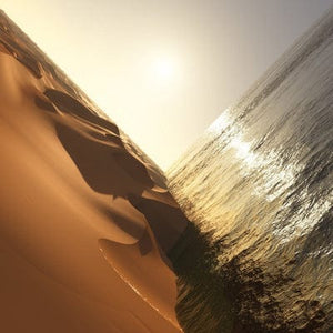 Golden Discs VINYL Under the Sun - Mark Pritchard [VINYL]