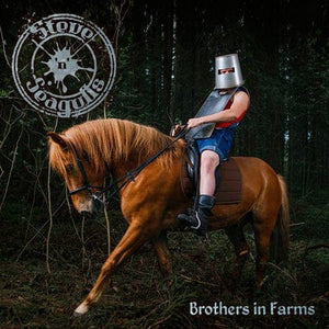 Golden Discs VINYL Brothers in Farms - Steve 'n' Seagulls [VINYL]