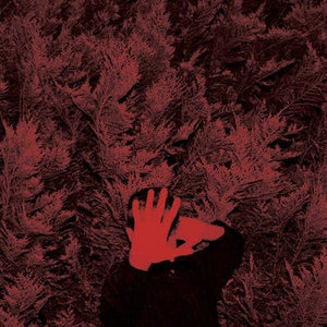 Golden Discs VINYL The Unborn Capitalist from Limbo:   - Cory Hanson [VINYL]