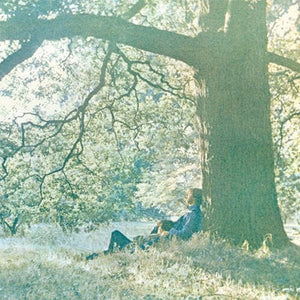 Golden Discs VINYL Yoko Ono/Plastic Ono Band - Yoko Ono [VINYL]