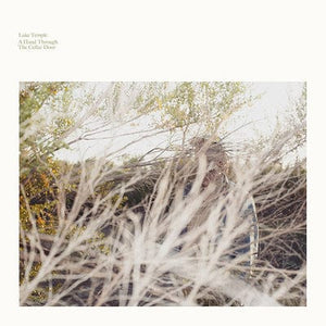 Golden Discs VINYL A Hand Through the Cellar Door:   - Luke Temple [VINYL]
