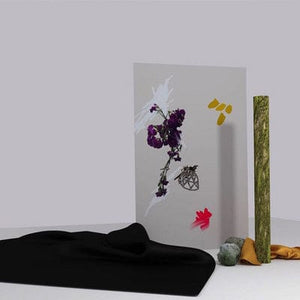 Golden Discs VINYL Heba:   - Lowly [VINYL]
