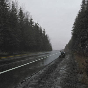 Golden Discs VINYL Fiction/Non-fiction:   - Olivier Alary [VINYL]