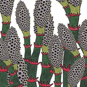 Golden Discs CD IV:   - Part Chimp [CD]