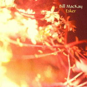 Golden Discs VINYL Esker:   - Bill MacKay [VINYL]