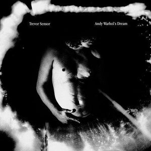 Golden Discs CD Andy Warhol's Dream:   - Trevor Sensor [CD]