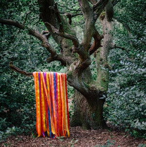 Golden Discs CD The Animal Spirits:   - James Holden & The Animal Spirits [CD]