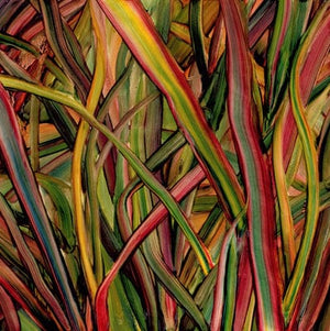 Golden Discs VINYL Where Wilderness Grows:   - Gengahr [VINYL]