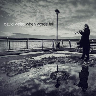 Golden Discs CD When Words Fail:   - David Weiss [CD]