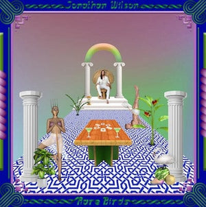 Golden Discs VINYL Rare Birds:   - Jonathan Wilson [VINYL Deluxe Edition]