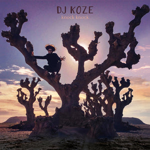 Knock Knock - DJ Koze [VINYL]