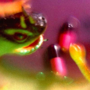 Golden Discs VINYL Take the Fall:   - Bush Tetras [VINYL]