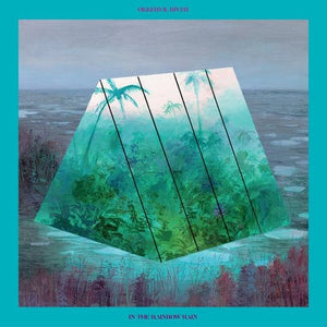 Golden Discs VINYL In the Rainbow Rain - Okkervil River [VINYL Limited Edition]