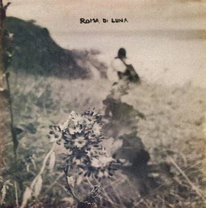 Golden Discs VINYL We Were Made to Forgive:   - Roma Di Luna [VINYL]