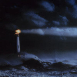 Golden Discs VINYL We Must Become the Pitiless Censors of Ourselves - John Maus [VINYL]