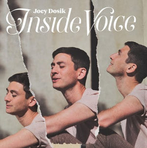 Golden Discs VINYL Inside Voice:   - Joey Dosik [VINYL]