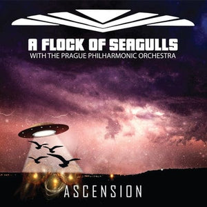 Golden Discs CD Ascension:   - A Flock of Seagulls [CD]