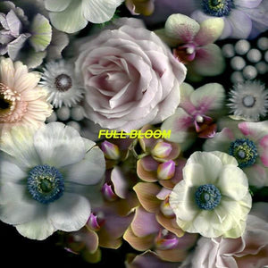 Full Bloom:   - Alpines [CD]