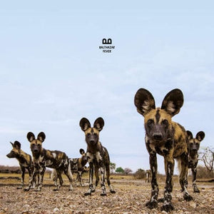Golden Discs VINYL Fever - Balthazar [VINYL]