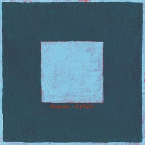 Golden Discs VINYL Skylight:   - Pinegrove [VINYL]