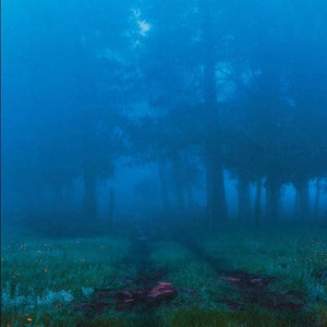 Golden Discs VINYL Commune:   - Angèle David-Guillou [VINYL]