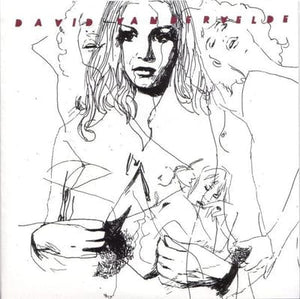 Golden Discs VINYL Jacket/Murder in Michigan:   - David Vandervelde [VINYL]