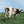 Atom Heart Mother - Pink Floyd [VINYL]