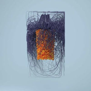 Golden Discs CD Polymer:   - Plaid [CD]