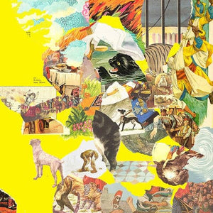 Golden Discs VINYL The Big Exercise:   - The Homesick [VINYL]