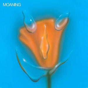 Golden Discs CD Uneasy Laughter:   - Moaning [CD]