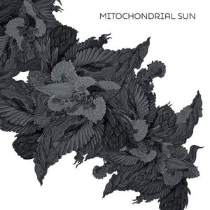 Golden Discs VINYL Mitochondrial Sun:   - Mitochondrial Sun [VINYL]