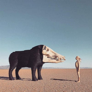 Golden Discs VINYL Dream Hunting in the Valley of the In-between:   - Man Man [VINYL]