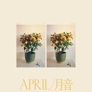 Golden Discs VINYL April:   - Emmy the Great [VINYL]