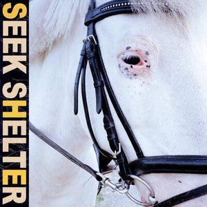Seek Shelter - Iceage [CD]
