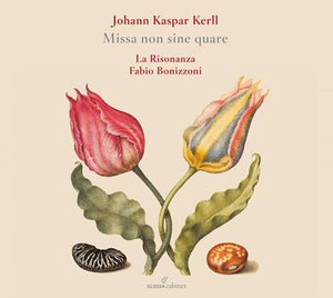 Johann Kaspar Kerll: Missa Non Sine Quare:   - Johann Kaspar Kerll [CD]