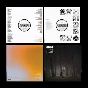 Golden Discs VINYL Projector:   - Geese [VINYL]