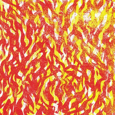 Golden Discs VINYL Fire - The Bug [VINYL]