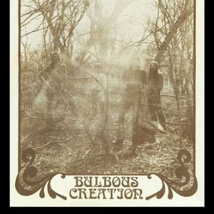 Golden Discs VINYL You Won't Remember Dying - Bulbous Creation [VINYL Limited Edition]