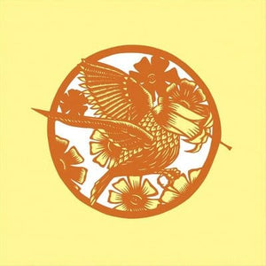 Golden Discs VINYL Your Past Life As a Blast - Okkervil River [VINYL]