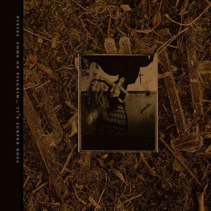 Golden Discs VINYL Come On Pilgrim... It's Surfer Rosa - Pixies [VINYL Deluxe Edition]